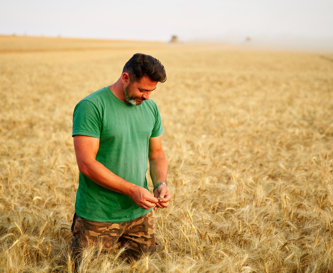 The farmer needs real solutions